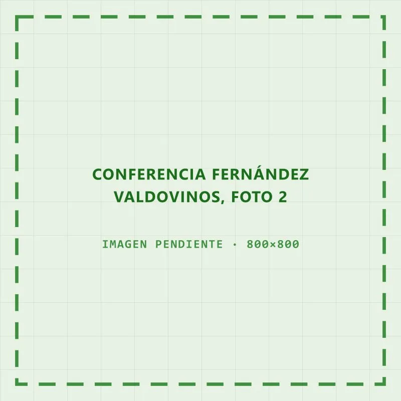 Carlos Fernández Valdovinos durante su exposición en el Colegio