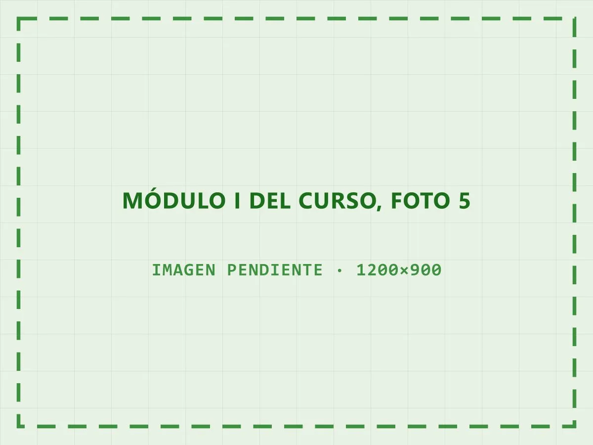 Trabajo en grupo de los inscriptos en el primer módulo