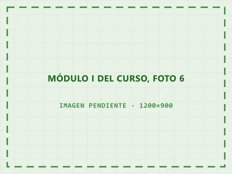 Consultas de los participantes al cuerpo docente