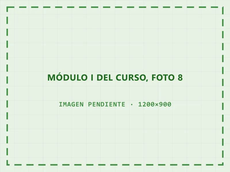 Inscriptos siguiendo la clase en la sede del Colegio