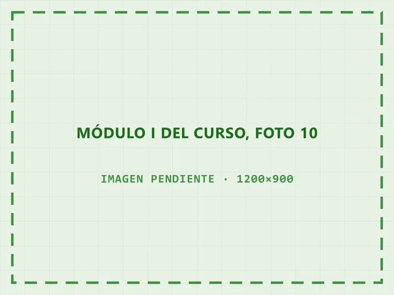 Taller práctico del primer módulo del curso