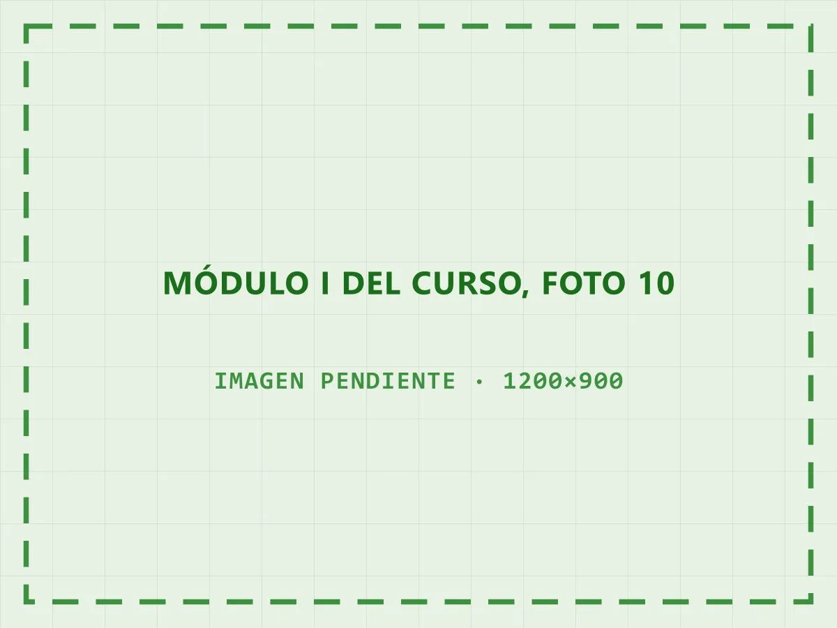 Taller práctico del primer módulo del curso