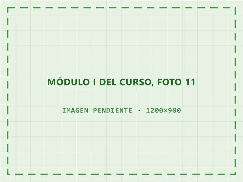 Cierre de la jornada del primer módulo
